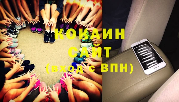 шишки Богородицк