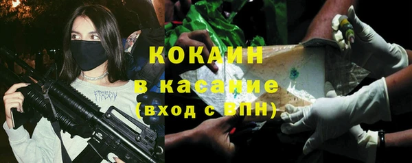 шишки Богданович