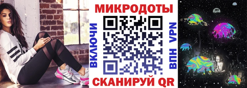 Галлюциногенные грибы Psilocybe Бугульма